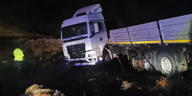 Malatya’da yoldan çıkan tır şarampole düştü