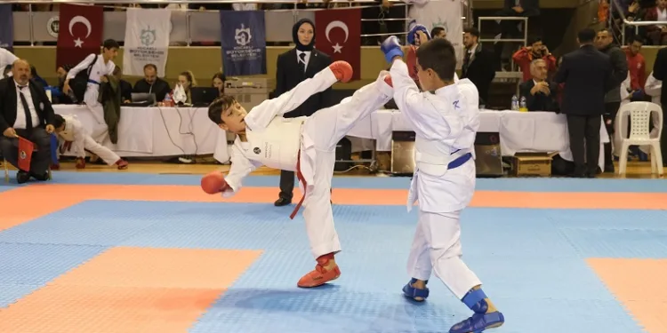 Kocaeli’de karate coşkusu
