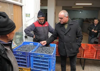 Başkan Sertaslan: “Tarlada izimiz var”