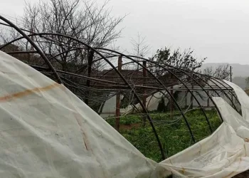 Kastamonu’da fırtına seraları vurdu