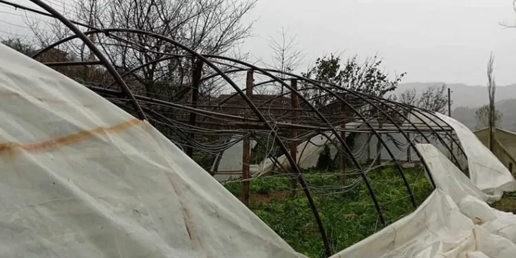 Kastamonu’da fırtına seraları vurdu