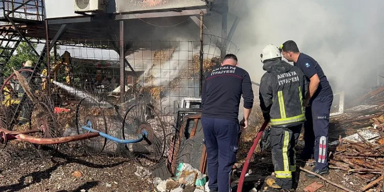 Antalya’da saman balyası yangını