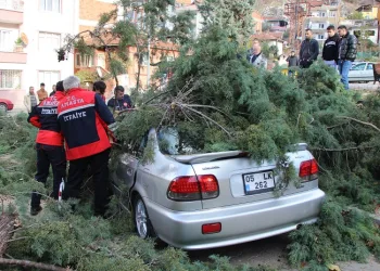 Fırtınada üstüne ağaç devrilen otomobildeki 3 genci baltayla kurtardı