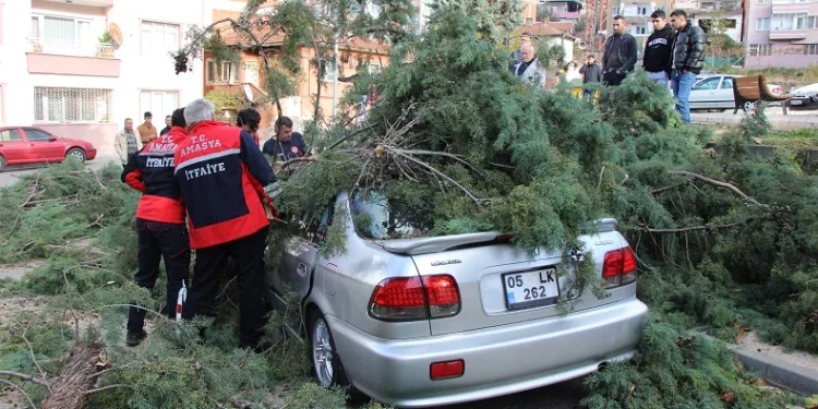 Fırtınada üstüne ağaç devrilen otomobildeki 3 genci baltayla kurtardı