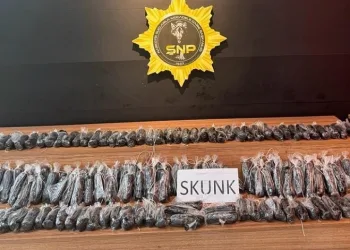 Şanlıurfa’da uyuşturucu operasyonu