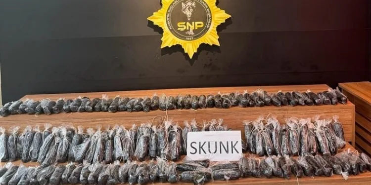 Şanlıurfa’da uyuşturucu operasyonu