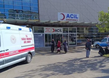 Kamyonun çarptığı yaya hayatını kaybetti