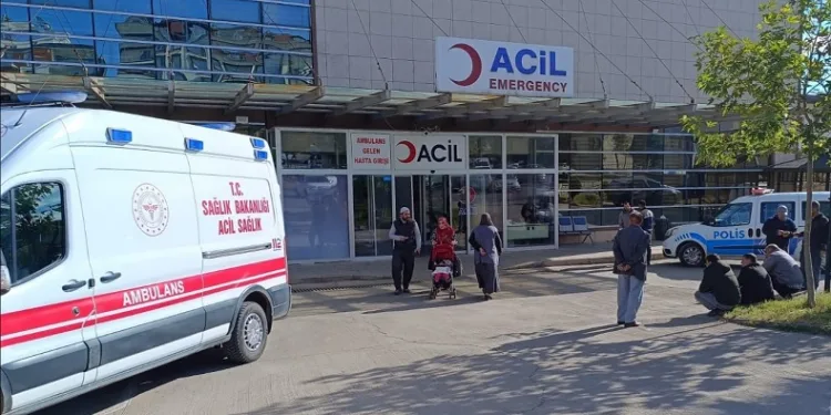 Kamyonun çarptığı yaya hayatını kaybetti