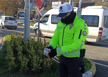 Yaralı martıya polisten şefkat eli