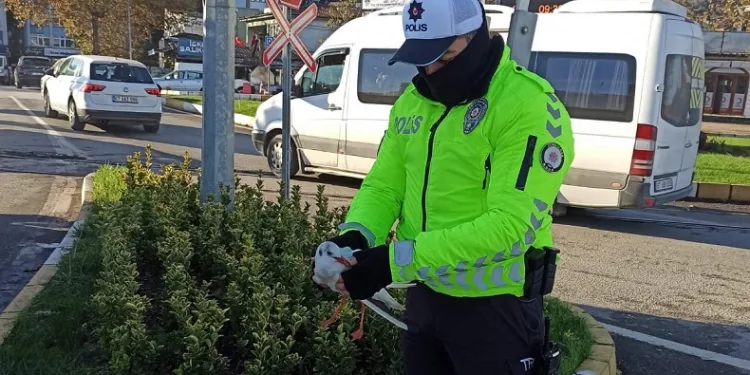 Yaralı martıya polisten şefkat eli