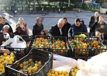 Mersin’den gönderilen meyveler İzmitlilere dağıtıldı