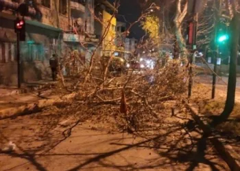 Bursa’da ağaç devrildi yol trafiğe kapandı