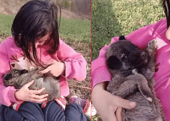 Sivas’ta çocukların köpek sevgisi