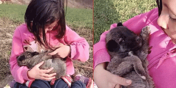 Sivas’ta çocukların köpek sevgisi