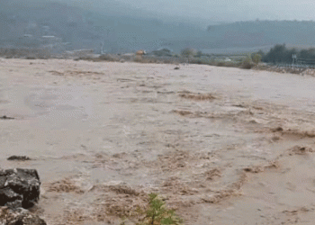 Aşırı yağış sonrası Dipni çayı coştu