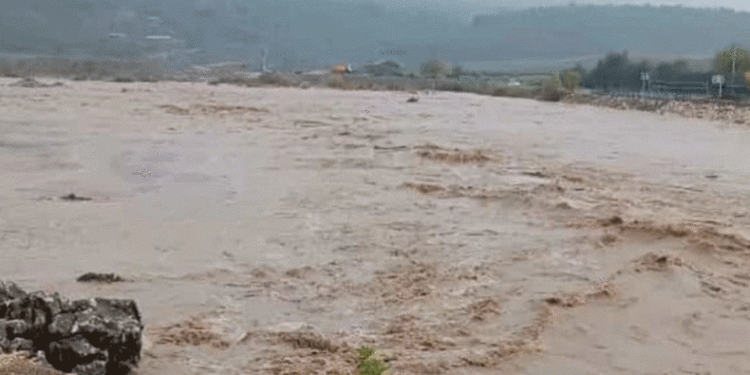 Aşırı yağış sonrası Dipni çayı coştu