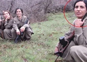 MİT’ten nokta operasyon