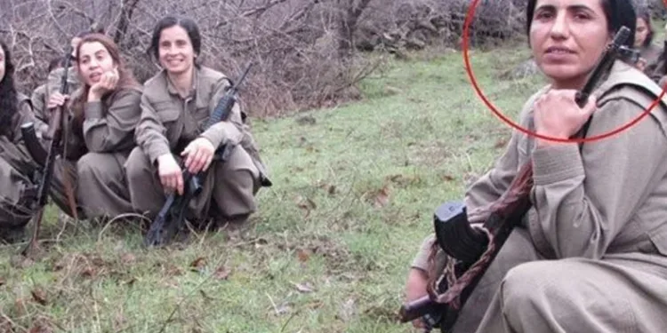 MİT’ten nokta operasyon