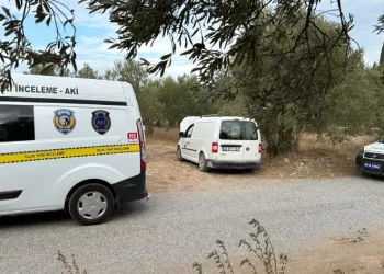 Çocukların çaldığı araç zeytinlikte bulundu