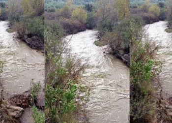 Hamzabey Çayı, eski günlerine geri döndü