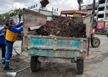 Marmaris’te fırtına temizliği