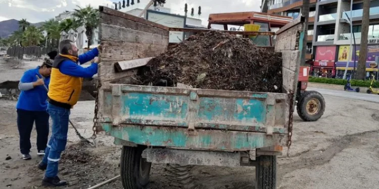 Marmaris’te fırtına temizliği