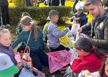 Dumlupınar’da uçurtma şenliği