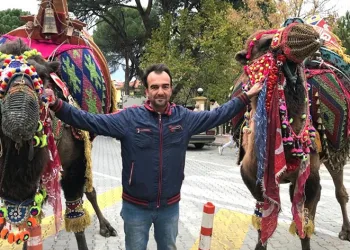 Develer gövde gösterisi yaptı