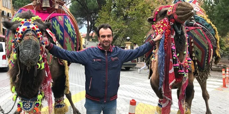 Develer gövde gösterisi yaptı