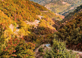 Aydın’daki sonbahar manzaraları büyüledi