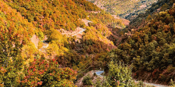 Aydın’daki sonbahar manzaraları büyüledi