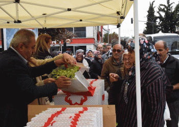 Vatandaşlara 30 bin adet marul fidesi dağıtıldı