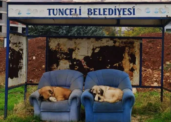 Sıcak günleri bekliyorlar