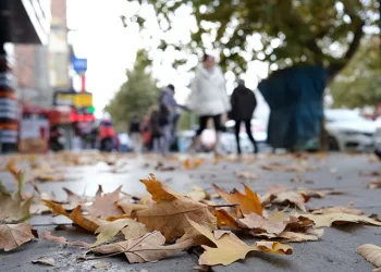 Sararan ve dökülen yapraklar görsel şölen oluşturdu