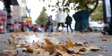 Sararan ve dökülen yapraklar görsel şölen oluşturdu