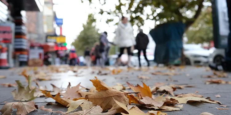 Sararan ve dökülen yapraklar görsel şölen oluşturdu