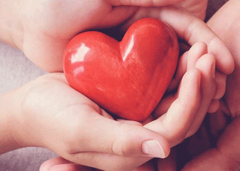 Her organ bağışı yeni bir umut