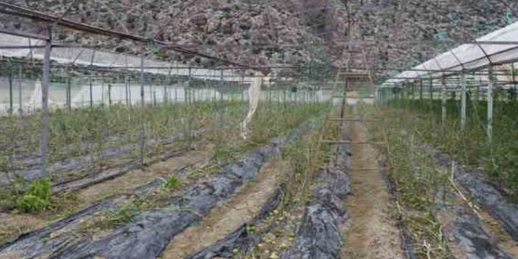 Antalya’da seraları dolu vurdu
