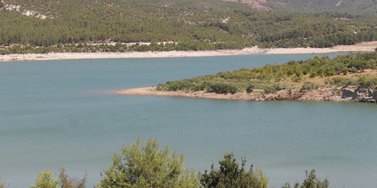 Karacasu Barajı’nda sular %35 azaldı