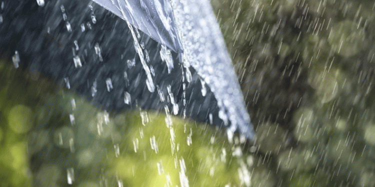 Aydın’da yağışlı hava etkili olacak