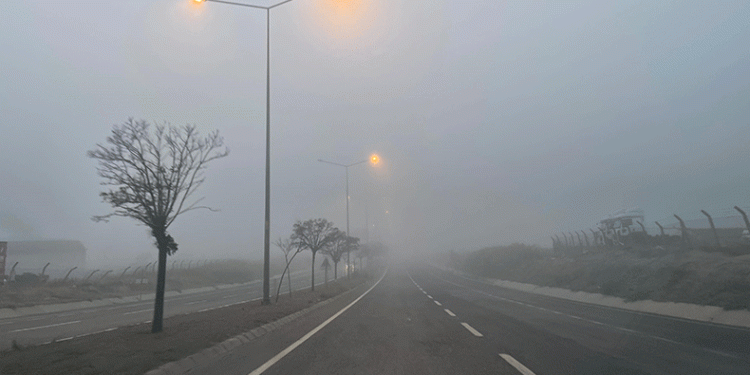 Tekirdağ’da yoğun sis