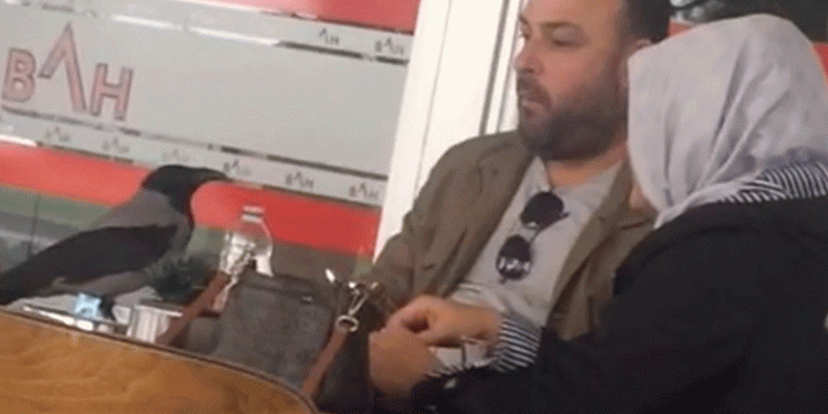 Susayan karganın iletişimi gülümsetti