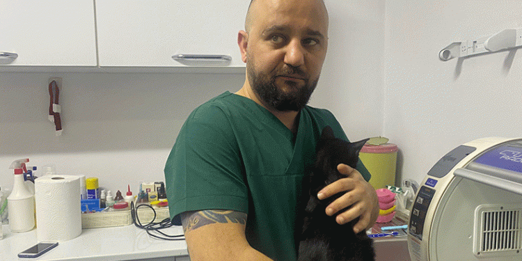 6. kattan düşen kedinin kaval kemiği kırıldı