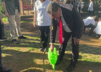 Öğrenciler 10 Kasım anısına fidan dikti