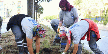 Atikhisar Caddesi lavantalar ile donatıldı