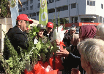 Bafra’da 40 bin fidan dağıtıldı