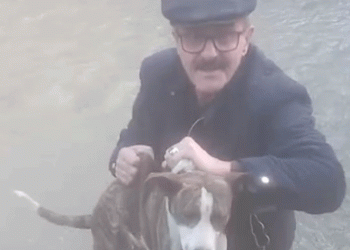 Dereye düşen köpeği muhtar kurtardı