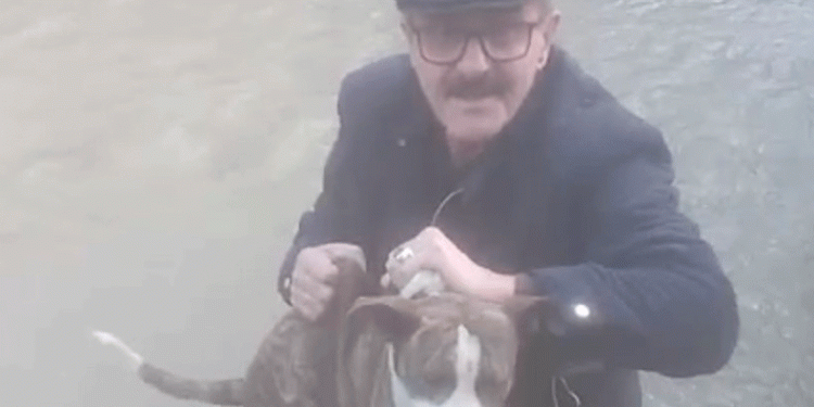 Dereye düşen köpeği muhtar kurtardı