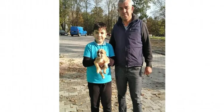 Canice terkedilen köpeği sahiplendiler