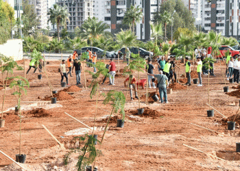 Yenişehir’de yeşil alan artıyor